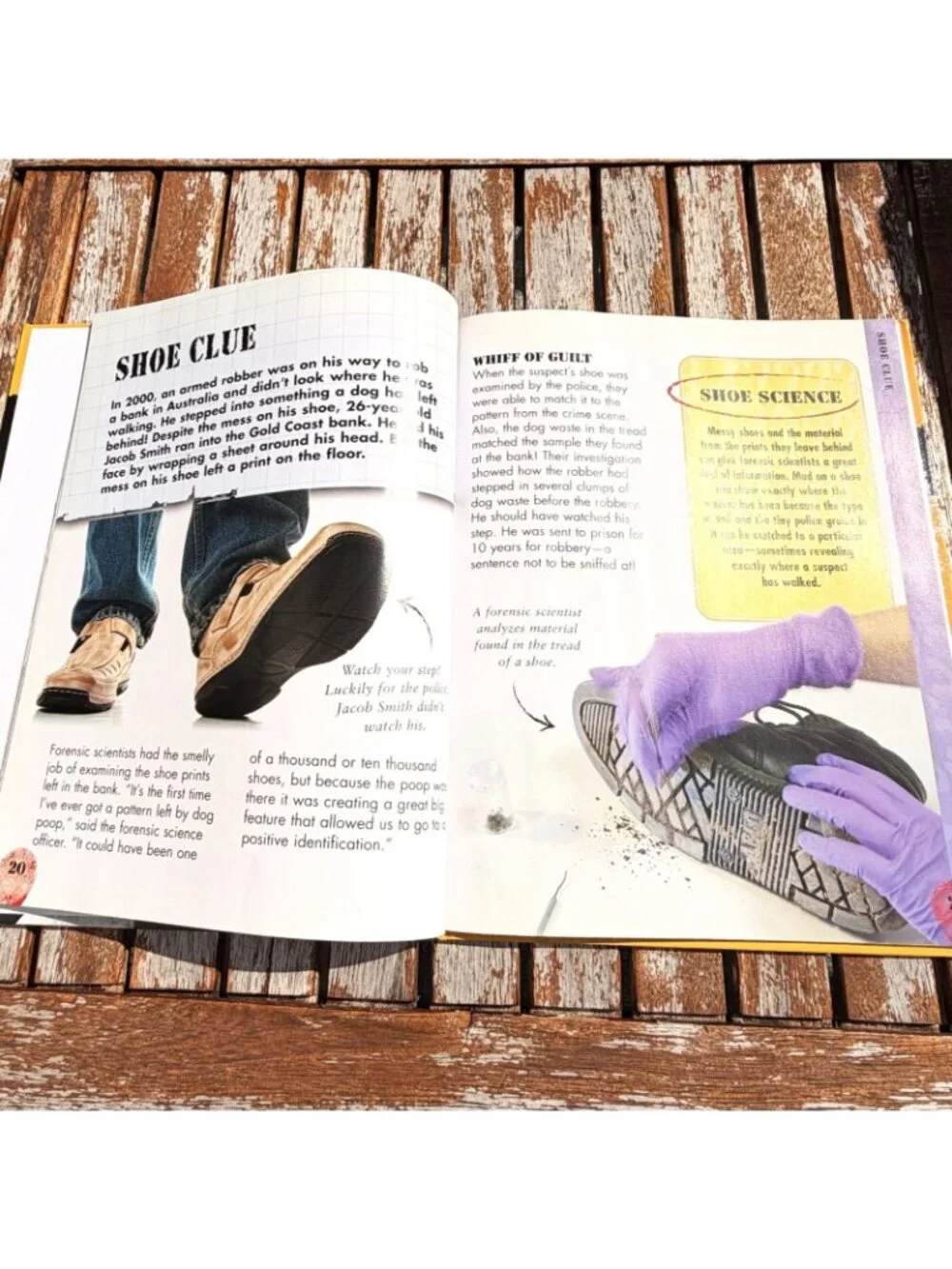 Robberies & Heists Solve It With Science Forensic Crime Book Hardcover Townsend